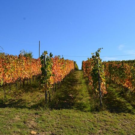 Agriturismo Costa Dei Platani Acqui Terme Bagian luar foto