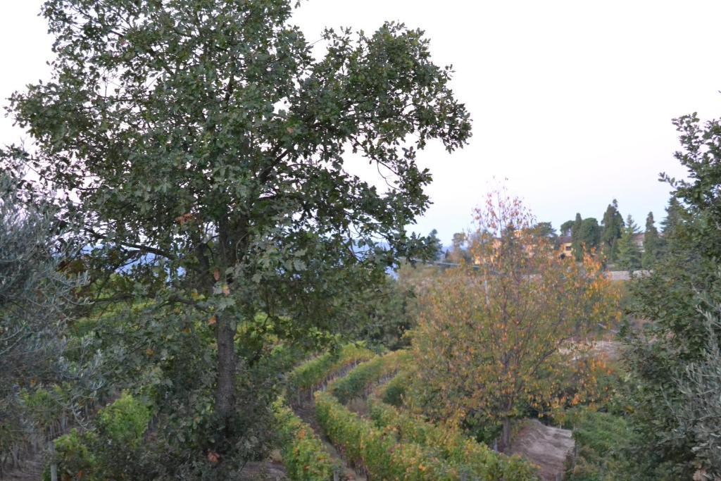 Agriturismo Costa Dei Platani Acqui Terme Bagian luar foto