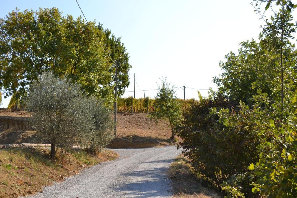 Agriturismo Costa Dei Platani Acqui Terme Bagian luar foto