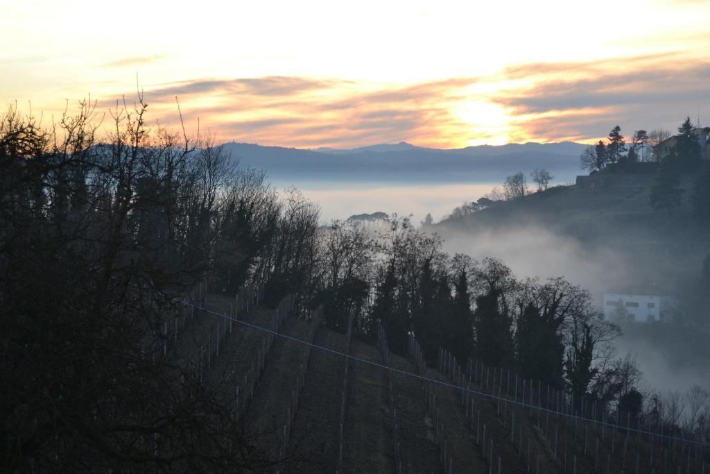 Agriturismo Costa Dei Platani Acqui Terme Bagian luar foto