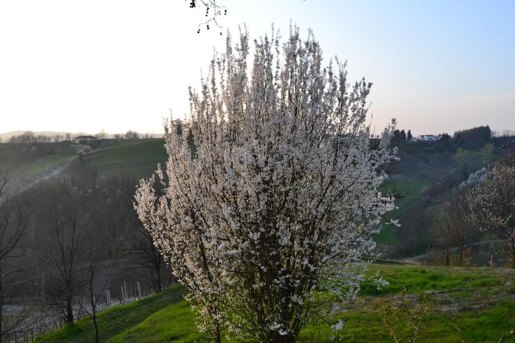Agriturismo Costa Dei Platani Acqui Terme Bagian luar foto