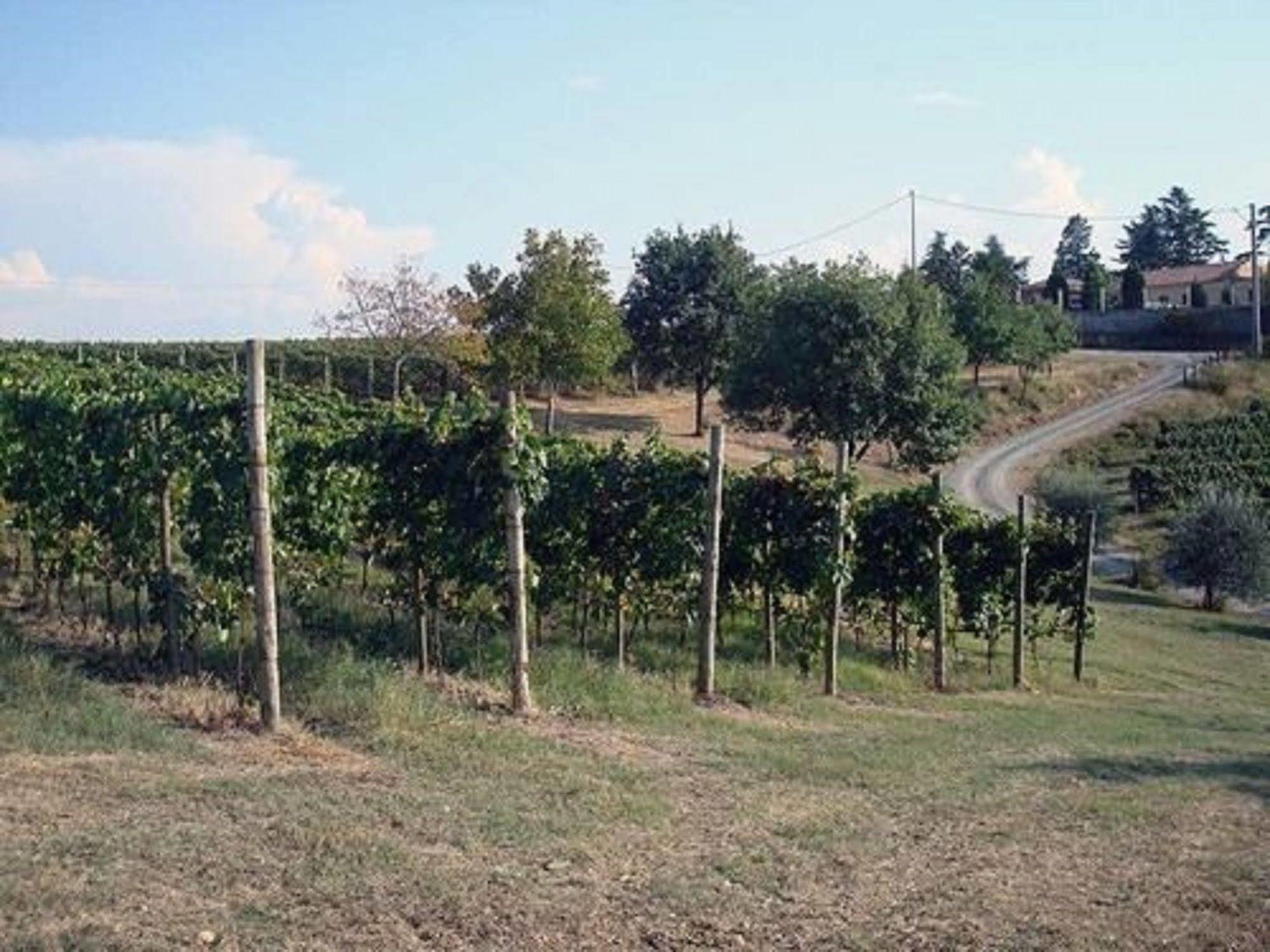 Agriturismo Costa Dei Platani Acqui Terme Bagian luar foto