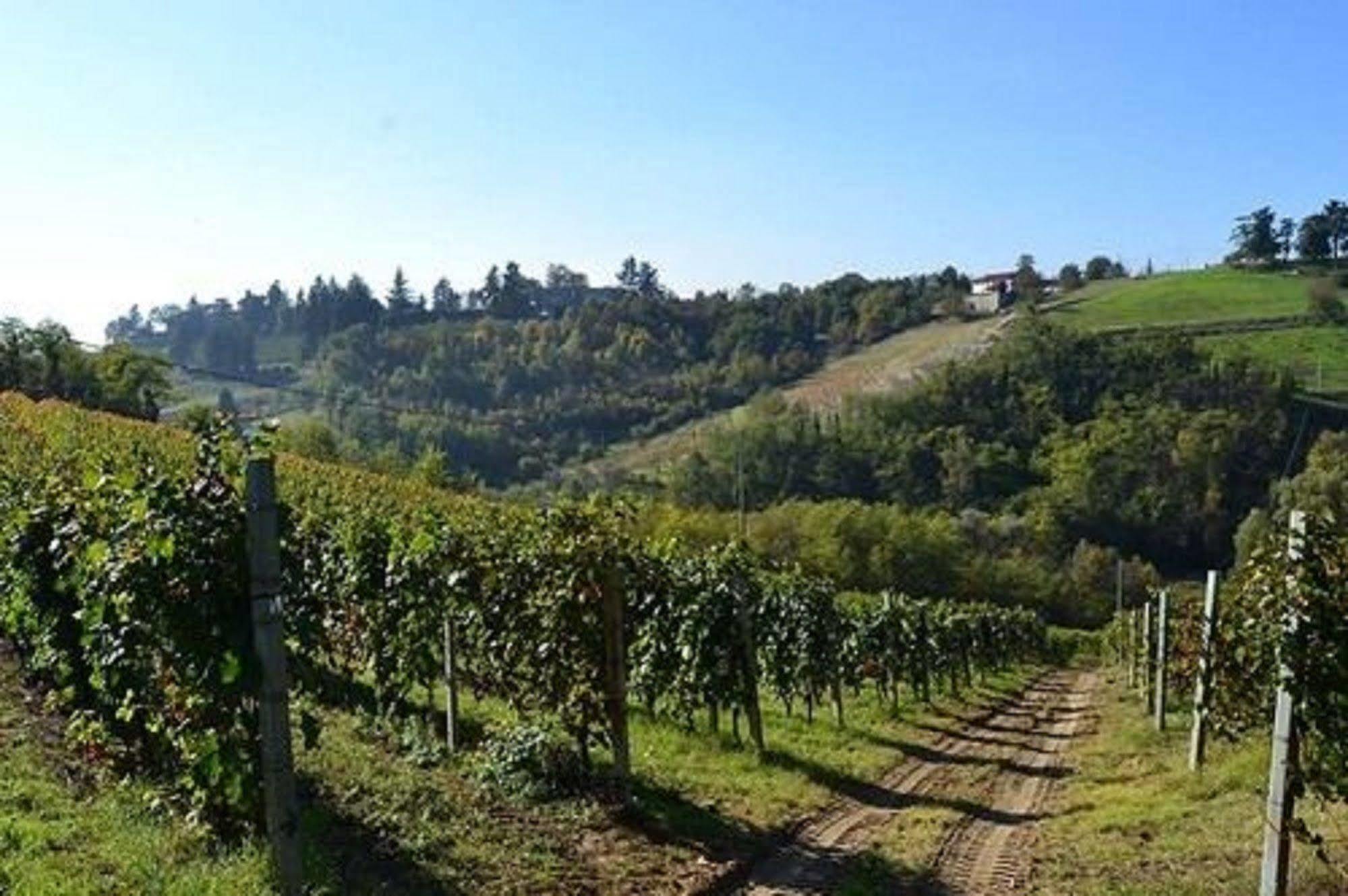 Agriturismo Costa Dei Platani Acqui Terme Bagian luar foto