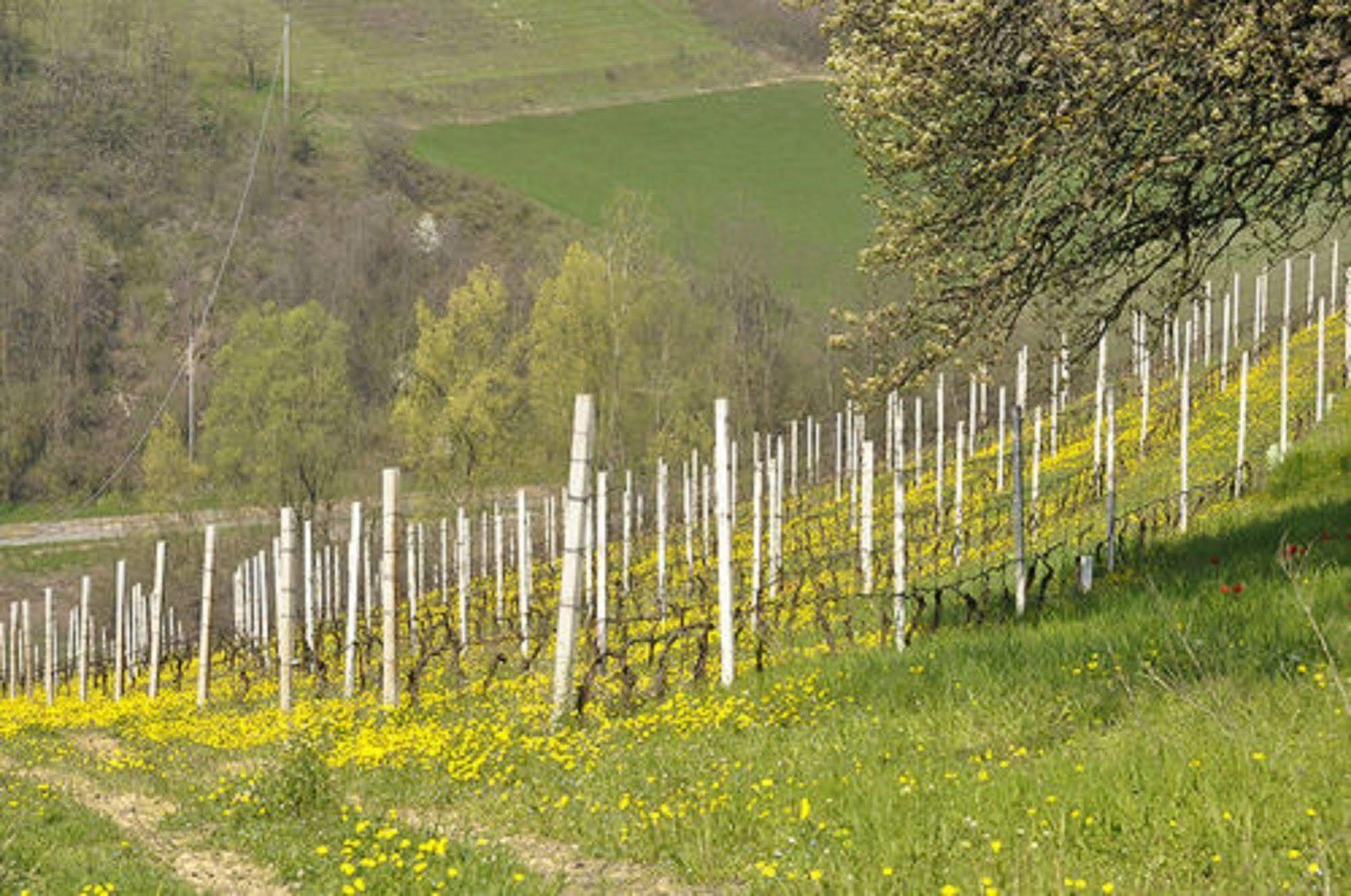 Agriturismo Costa Dei Platani Acqui Terme Bagian luar foto